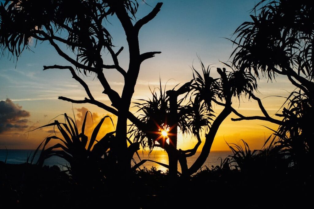 Tropical sunset over an Okinawan beach with palm trees
