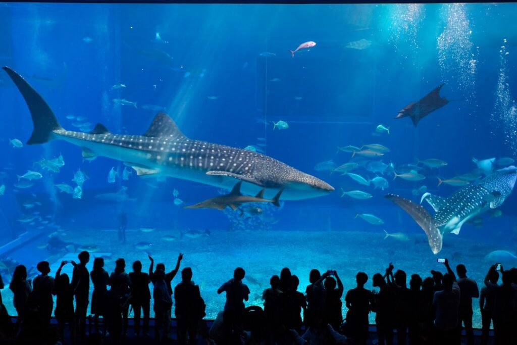Exterior entrance of Churaumi Aquarium in Okinawa with visitors approaching the ticket counter area